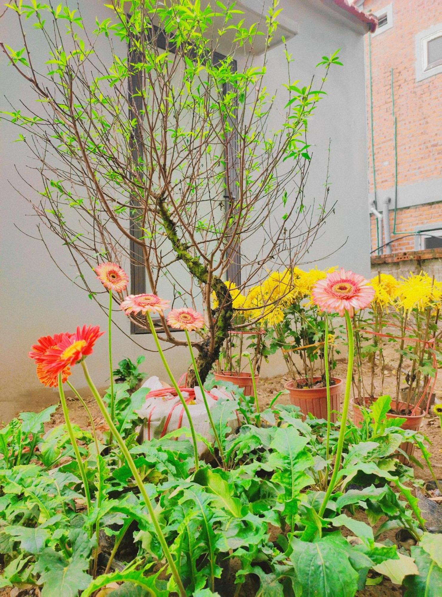 Trang An Natural Mountainside Homestay Ninh Binh Eksteriør bilde