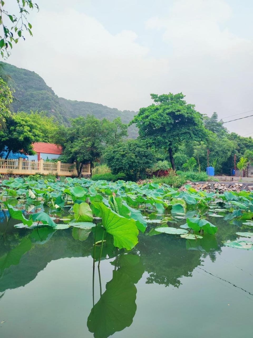 Trang An Natural Mountainside Homestay Ninh Binh Eksteriør bilde