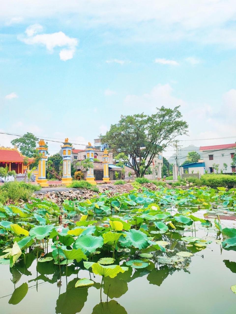 Trang An Natural Mountainside Homestay Ninh Binh Eksteriør bilde