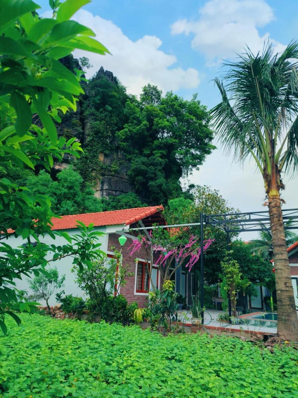 Trang An Natural Mountainside Homestay Ninh Binh Eksteriør bilde