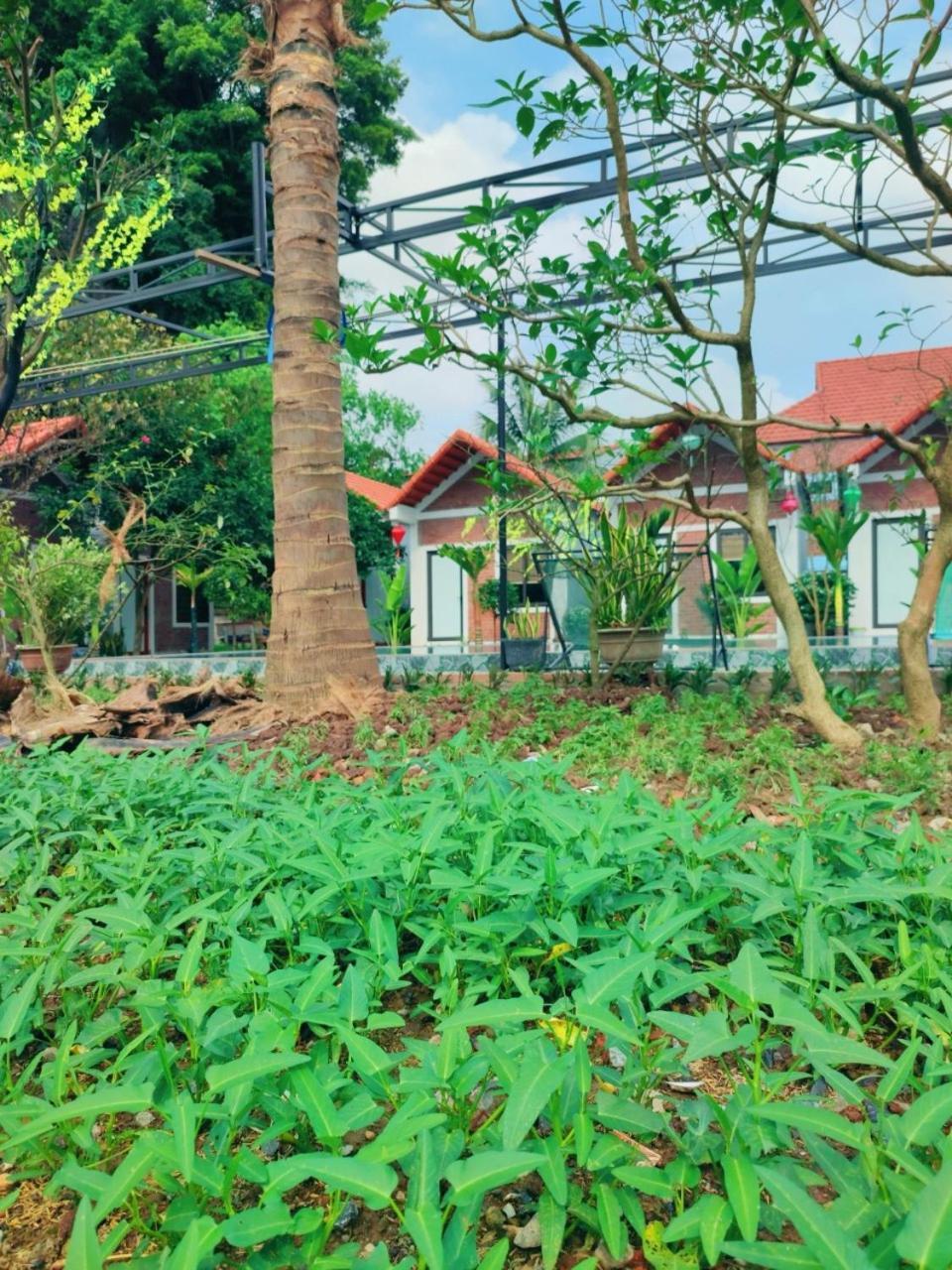 Trang An Natural Mountainside Homestay Ninh Binh Eksteriør bilde