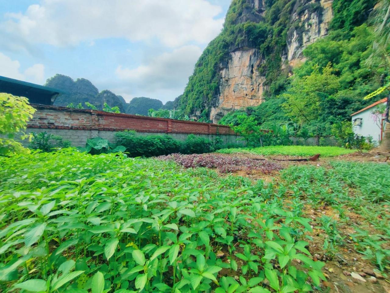Trang An Natural Mountainside Homestay Ninh Binh Eksteriør bilde